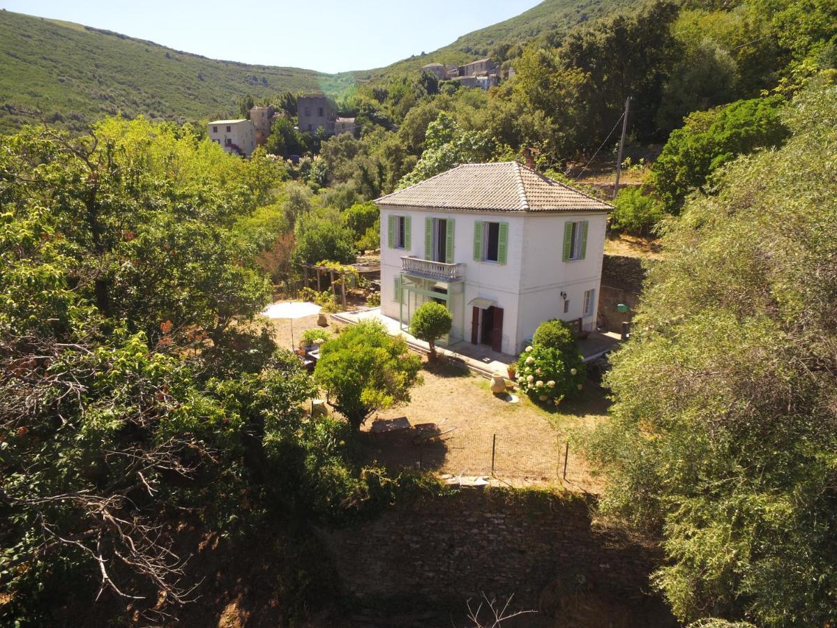 Aroma Green Villa Cagnano Buitenkant foto