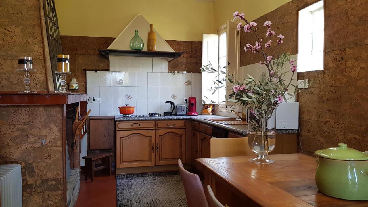 Aroma Green Villa Cagnano Buitenkant foto