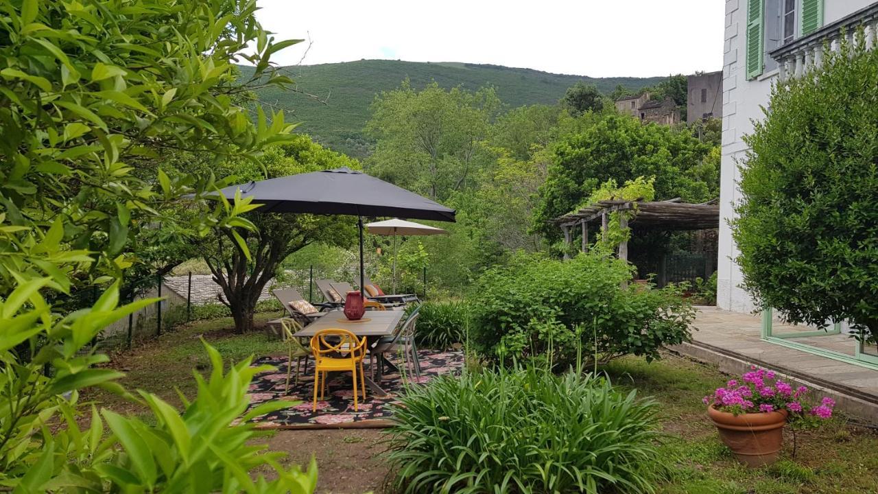 Aroma Green Villa Cagnano Buitenkant foto